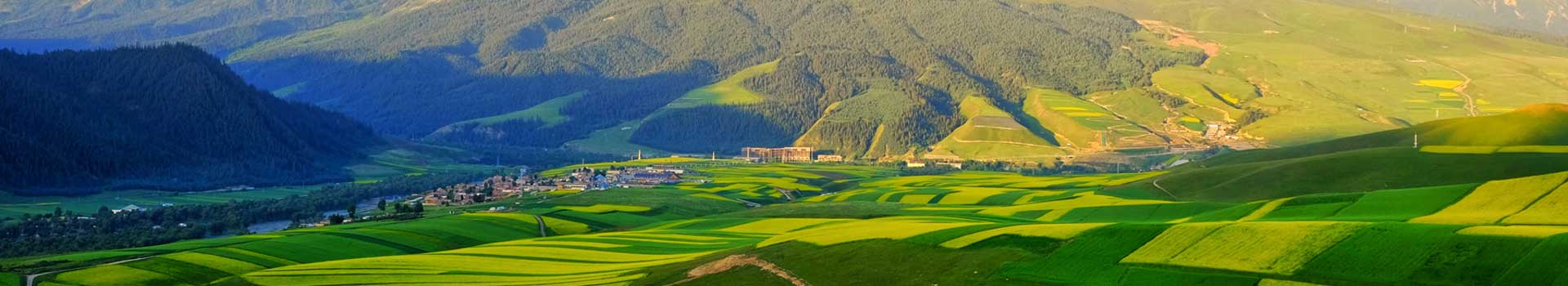 港澳宝典正版资料