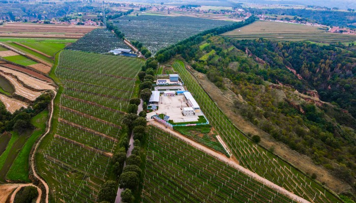 落实职代会精神：知重负重 精业笃行 拼字当头 向绿而兴