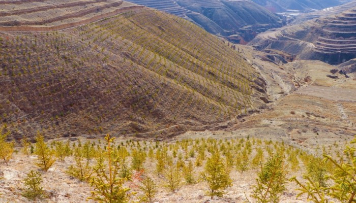 渭河源生态保护修复治理项目：人工造林施工稳步推进