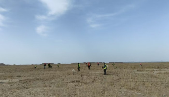 【“三抓三促”行动】不负春日好时光，全力冲锋“三北”建设