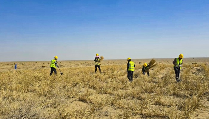 迎风奋进 实干争先--酒泉市黑河中游防沙治沙林草综合治理项目建设按下“快进键”