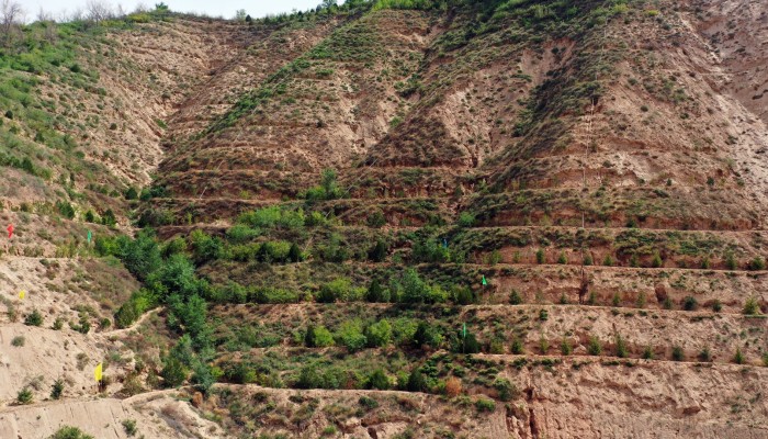 甘肃建投积极投身两山绿化工程