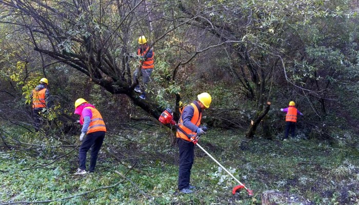 庄浪造林正当时：生态公司奏响“三北”工程生态修复新乐章