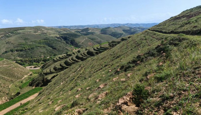 匠心植绿 渭河源项目部全力推进临洮生态修复工程