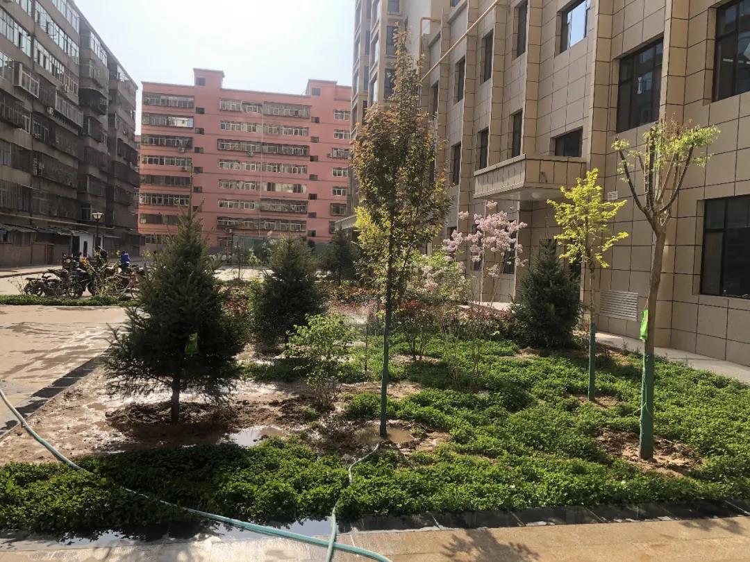 1588928496133661.jpg 微信图片_20200508164628.jpg