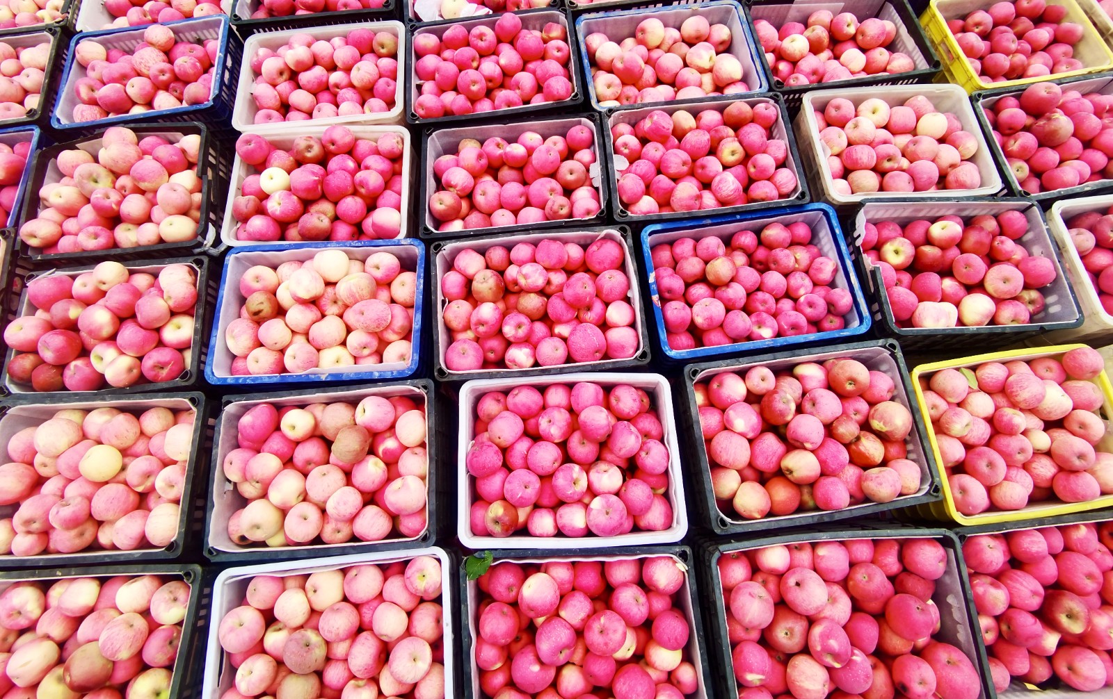 修图1.jpg 修图1.jpg