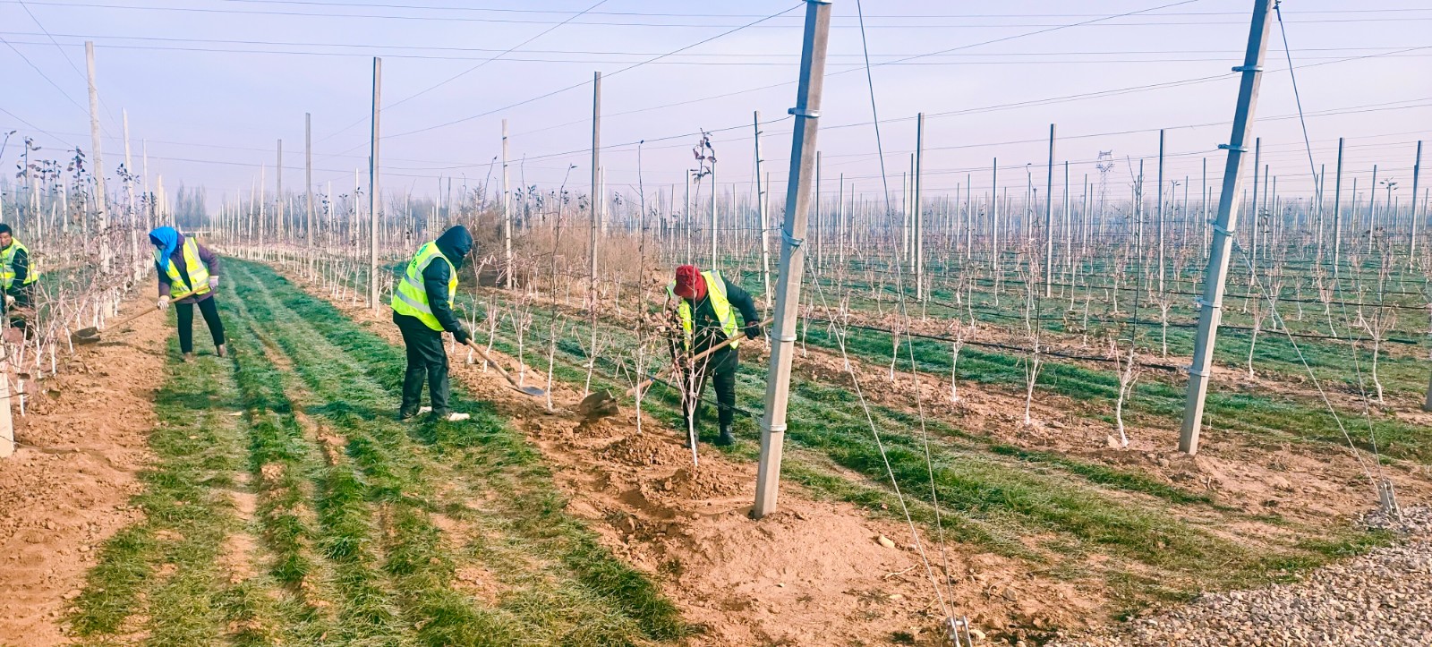 微信图片_20221215174346.jpg 微信图片_20221215174346.jpg