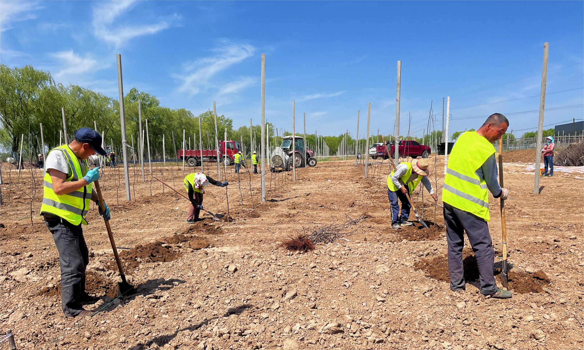 微信图片_20230518144818(1)(1)(1).png 微信图片_20230518144818(1)(1)(1).png